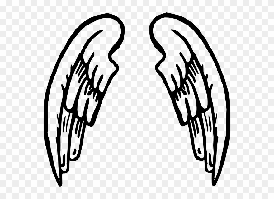 Detail Angel Wing Cartoon Nomer 34