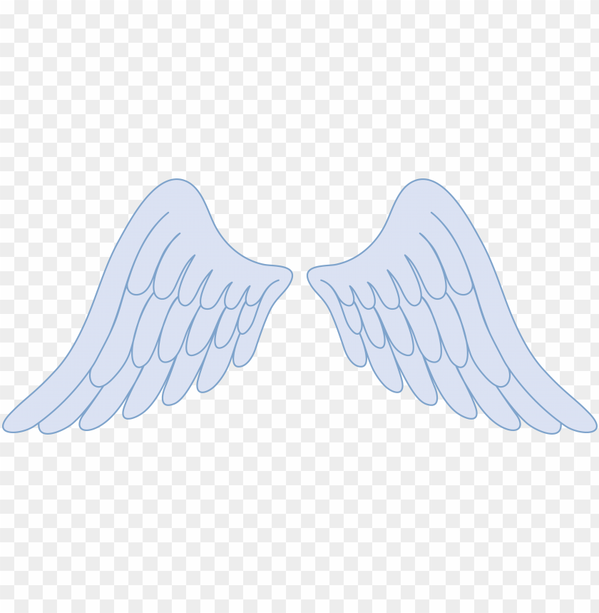 Detail Angel Wing Clipart Nomer 14