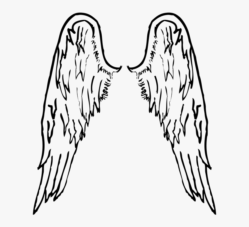 Detail Angel Wing Clipart Nomer 16