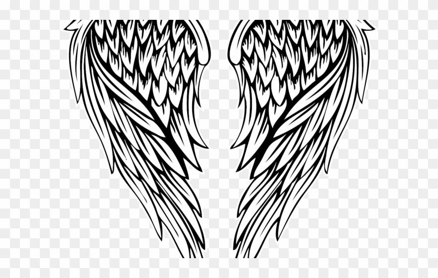 Detail Angel Wing Clipart Nomer 40