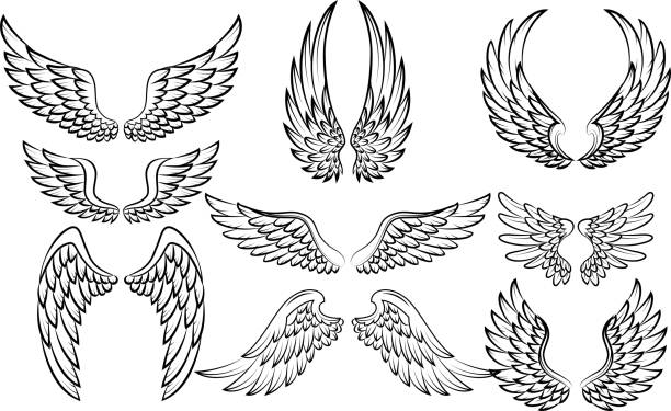 Detail Angel Wing Clipart Free Nomer 13