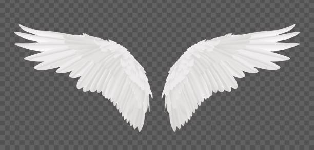 Detail Angel Wing Clipart Free Nomer 35