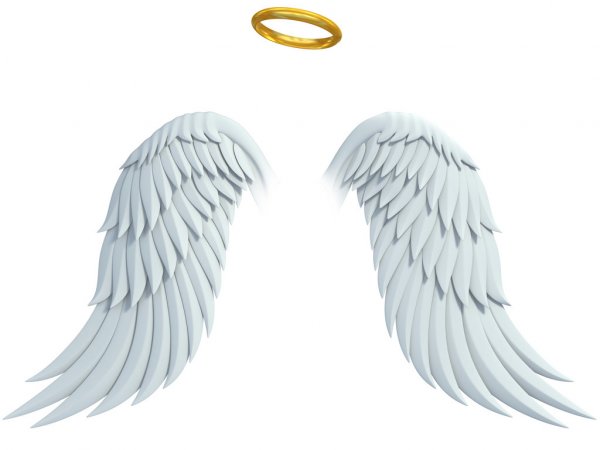Detail Angel Wing Image Nomer 12