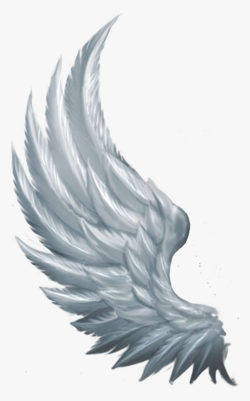 Detail Angel Wing Image Nomer 14