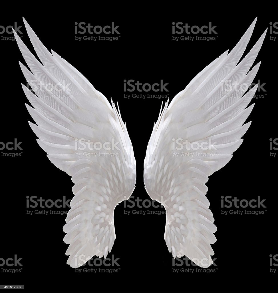 Detail Angel Wing Image Nomer 3