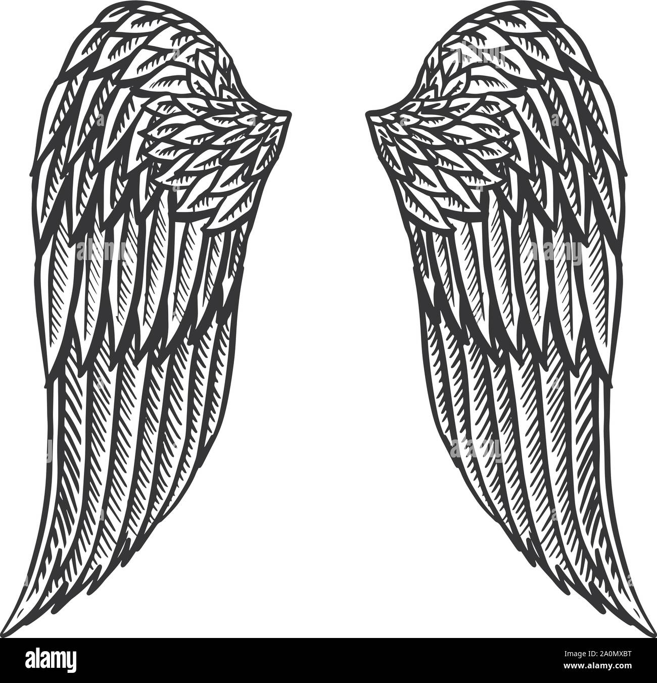 Detail Angel Wing Image Nomer 24