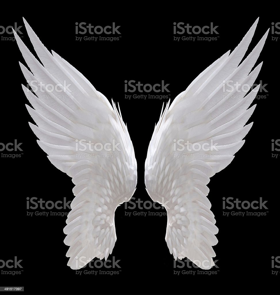 Detail Angel Wing Images Nomer 2