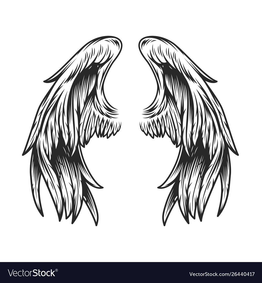 Detail Angel Wing Images Nomer 43