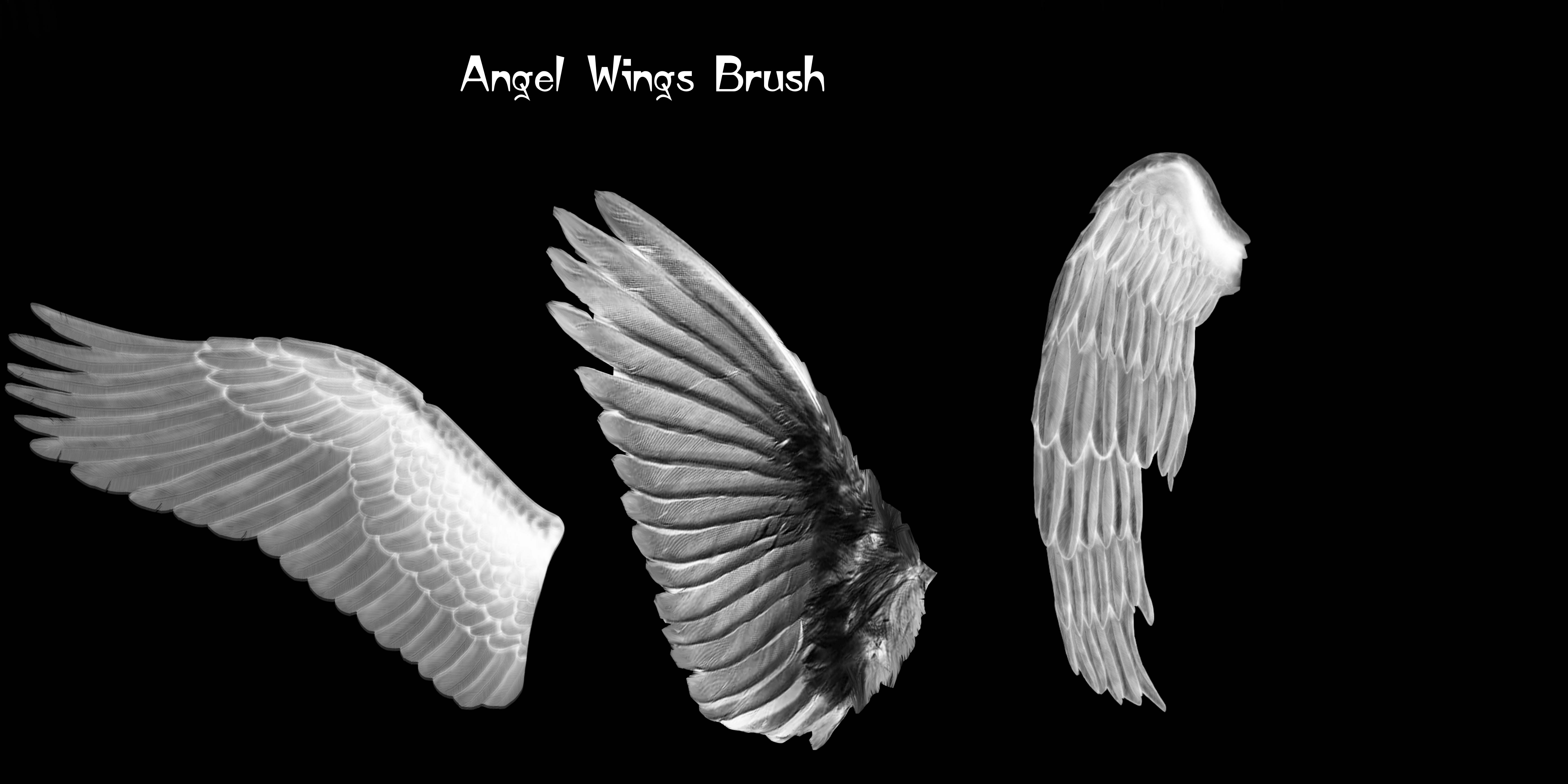 Detail Angel Wing Photoshop Brushes Nomer 9