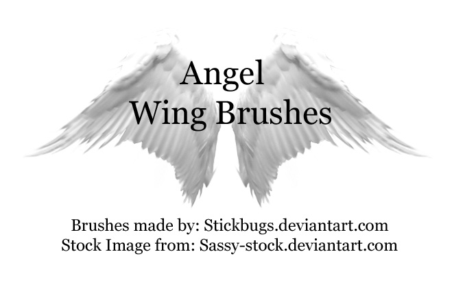 Detail Angel Wing Photoshop Brushes Nomer 11