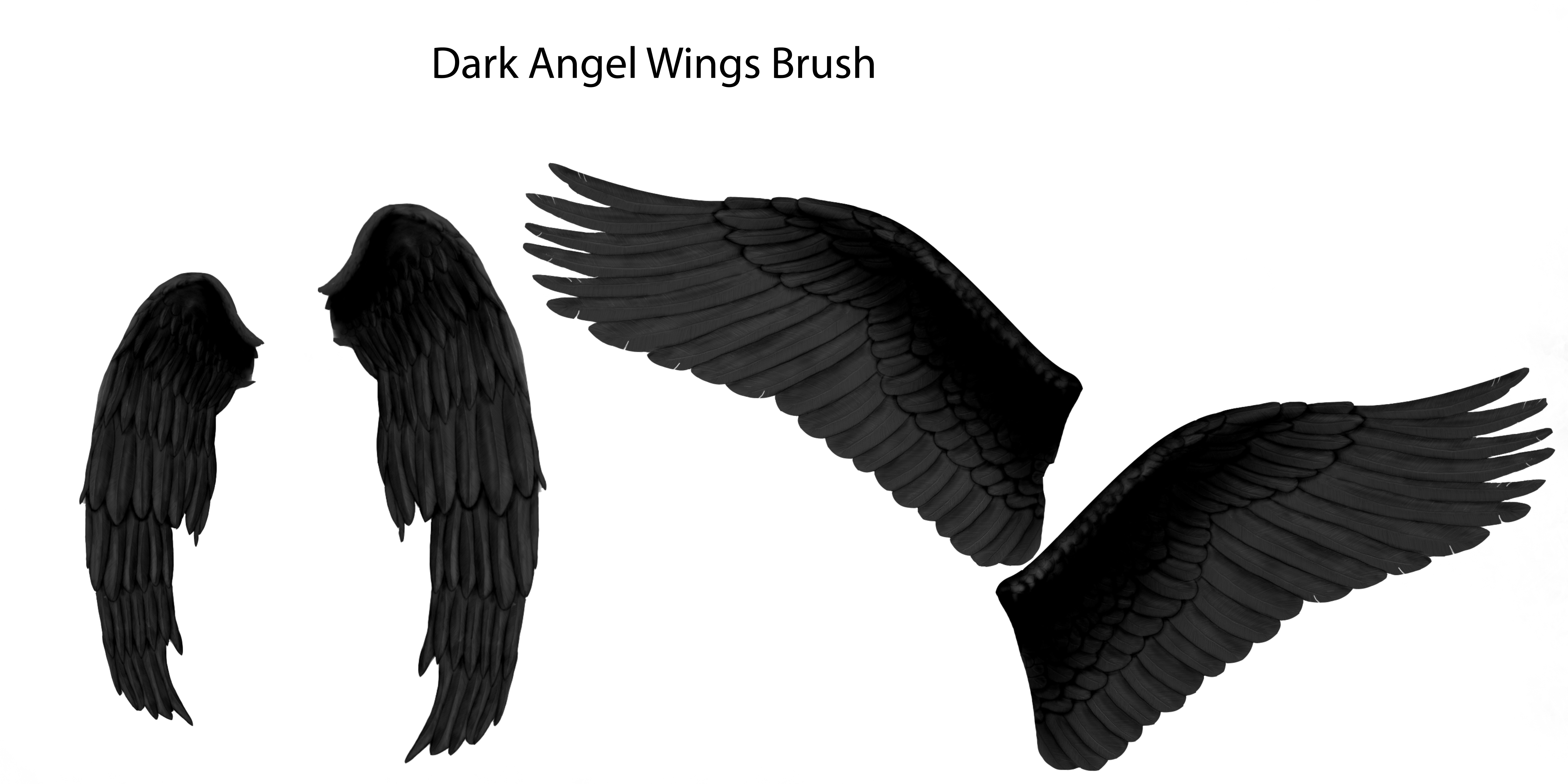 Detail Angel Wing Photoshop Brushes Nomer 15