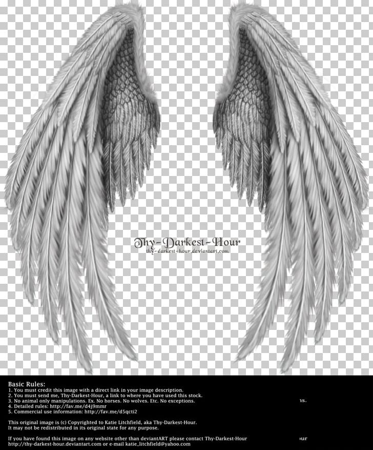 Detail Angel Wing Pics Nomer 13