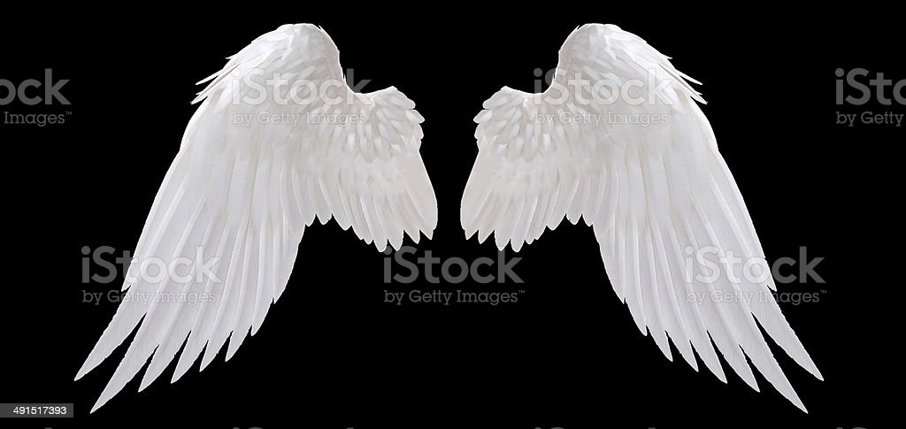 Detail Angel Wing Pics Nomer 7