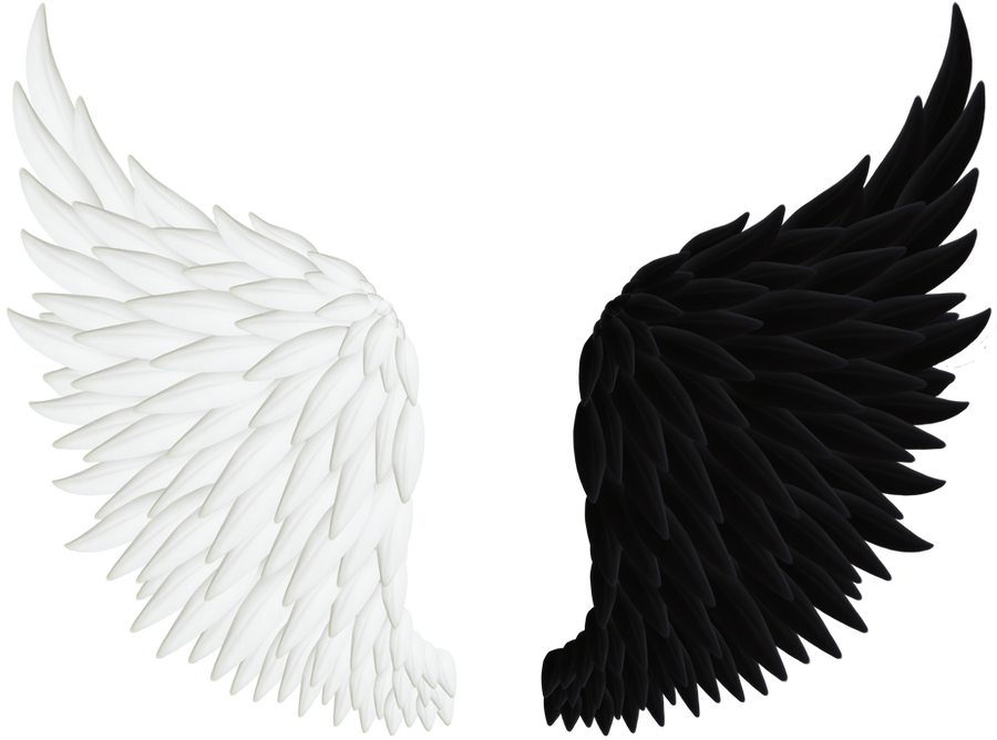 Detail Angel Wing Png Nomer 13