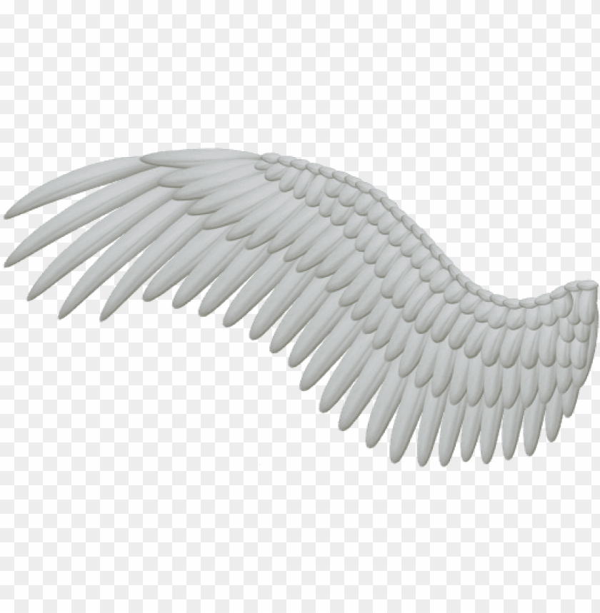 Detail Angel Wing Png Nomer 21