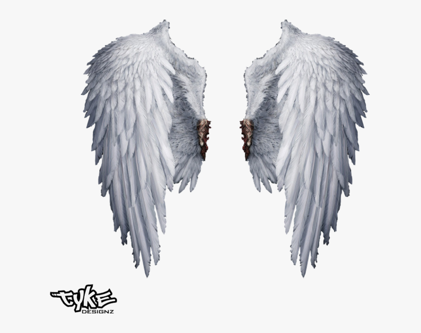 Detail Angel Wing Png Nomer 27