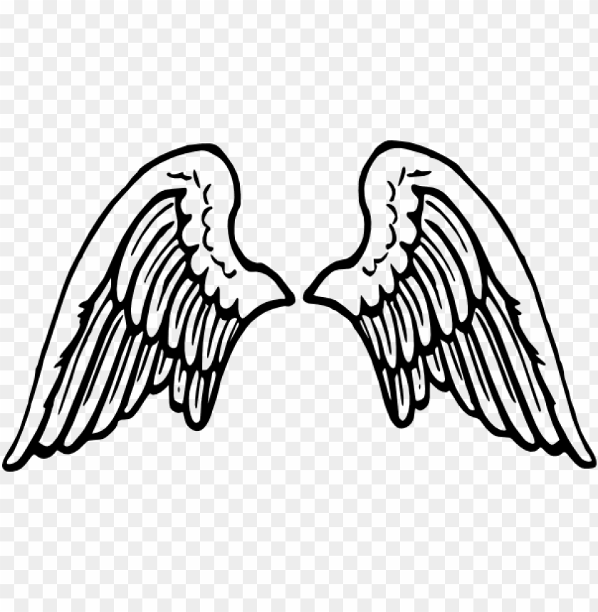 Detail Angel Wing Png Nomer 44