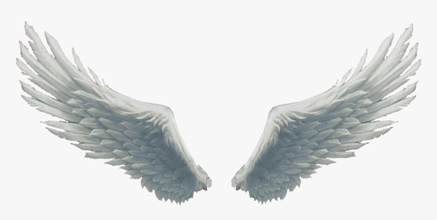 Detail Angel Wing Png Nomer 8