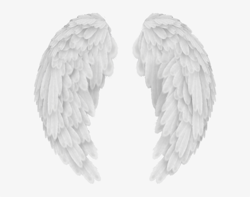 Detail Angel Wing Transparent Nomer 16