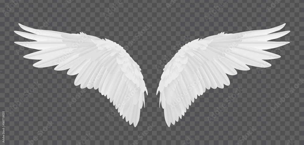 Detail Angel Wing Transparent Nomer 27