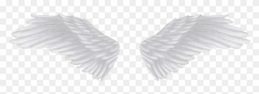 Detail Angel Wing Transparent Nomer 5