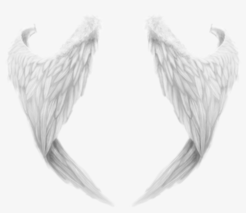 Detail Angel Wing Transparent Background Nomer 24