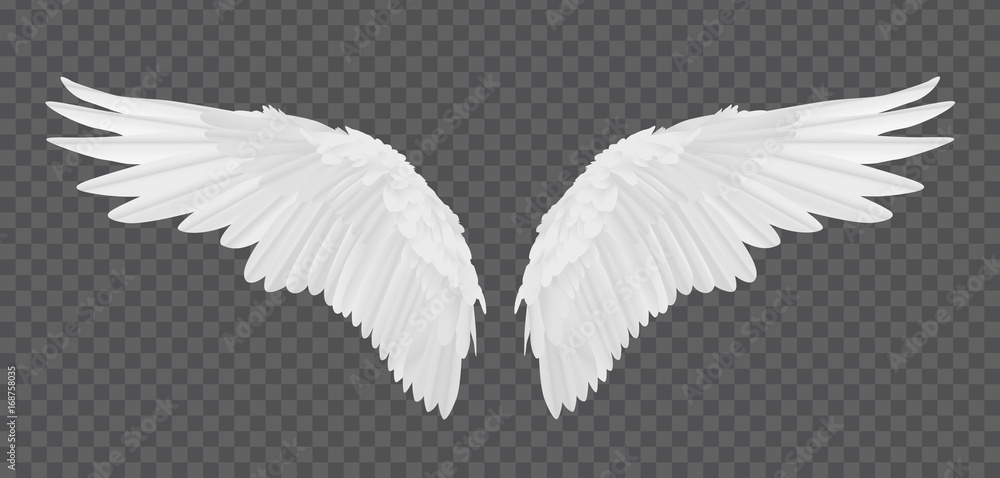 Detail Angel Wing Transparent Background Nomer 43