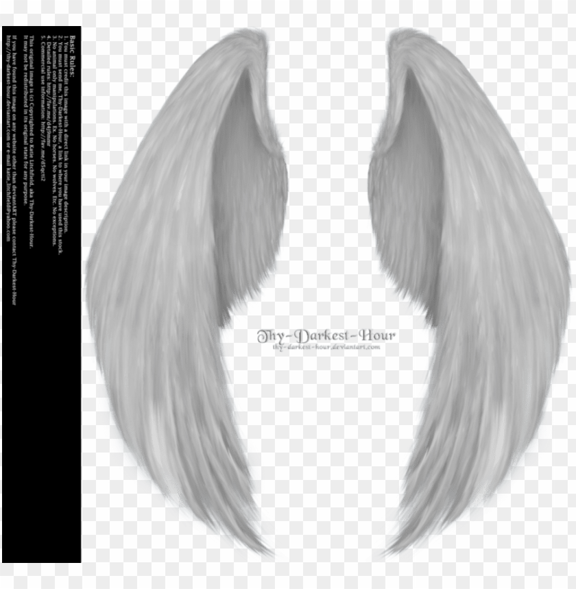 Detail Angel Wing Transparent Background Nomer 48