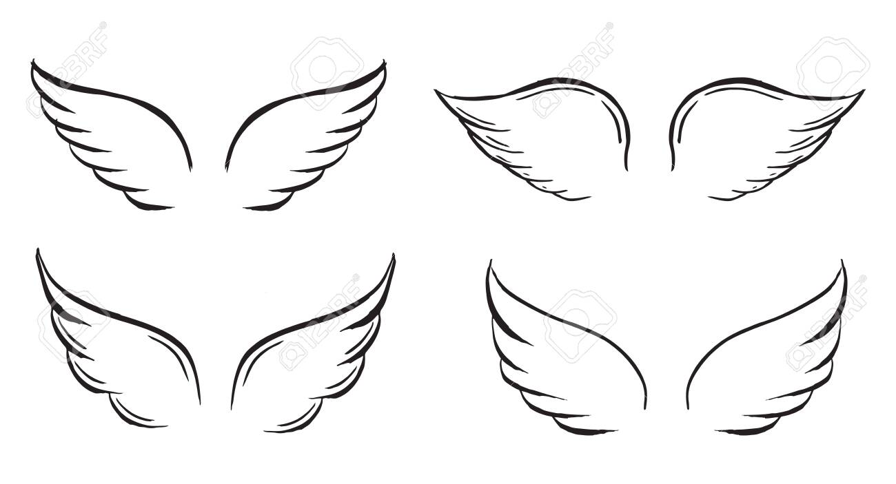 Detail Angel Wing Vector Nomer 6