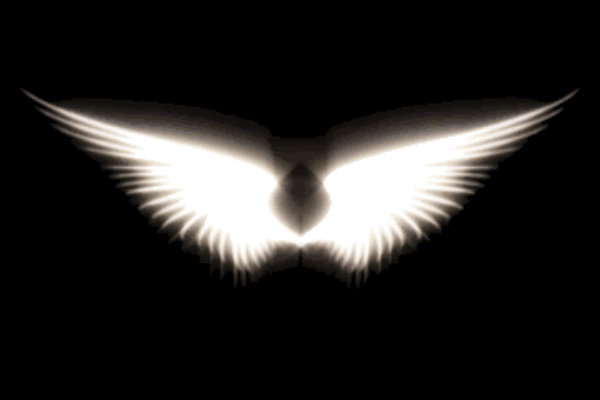 Detail Angel Wing Wallpaper Nomer 21