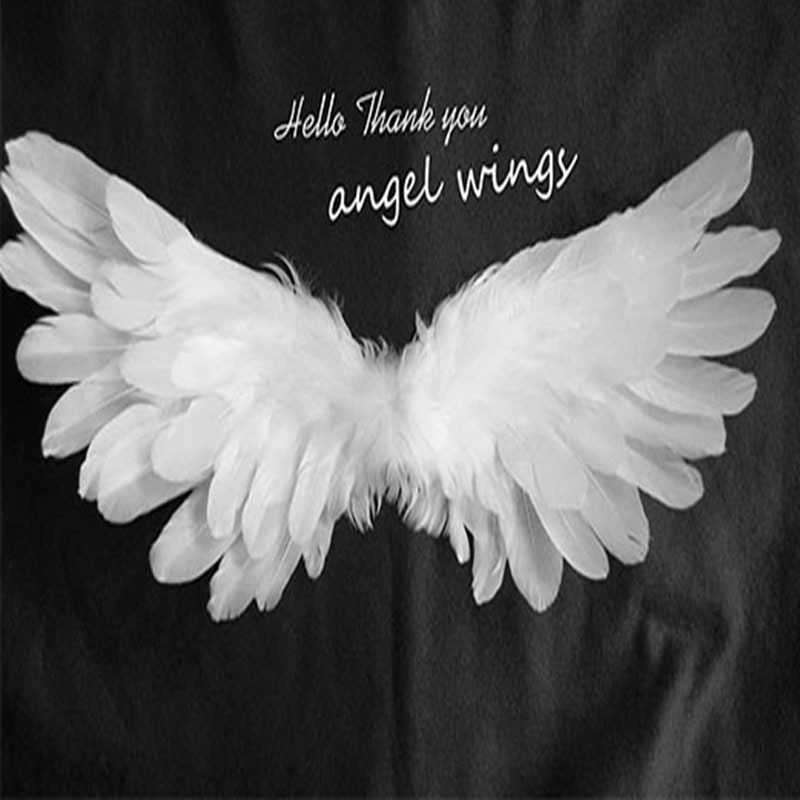 Detail Angel Wing Wallpaper Nomer 31