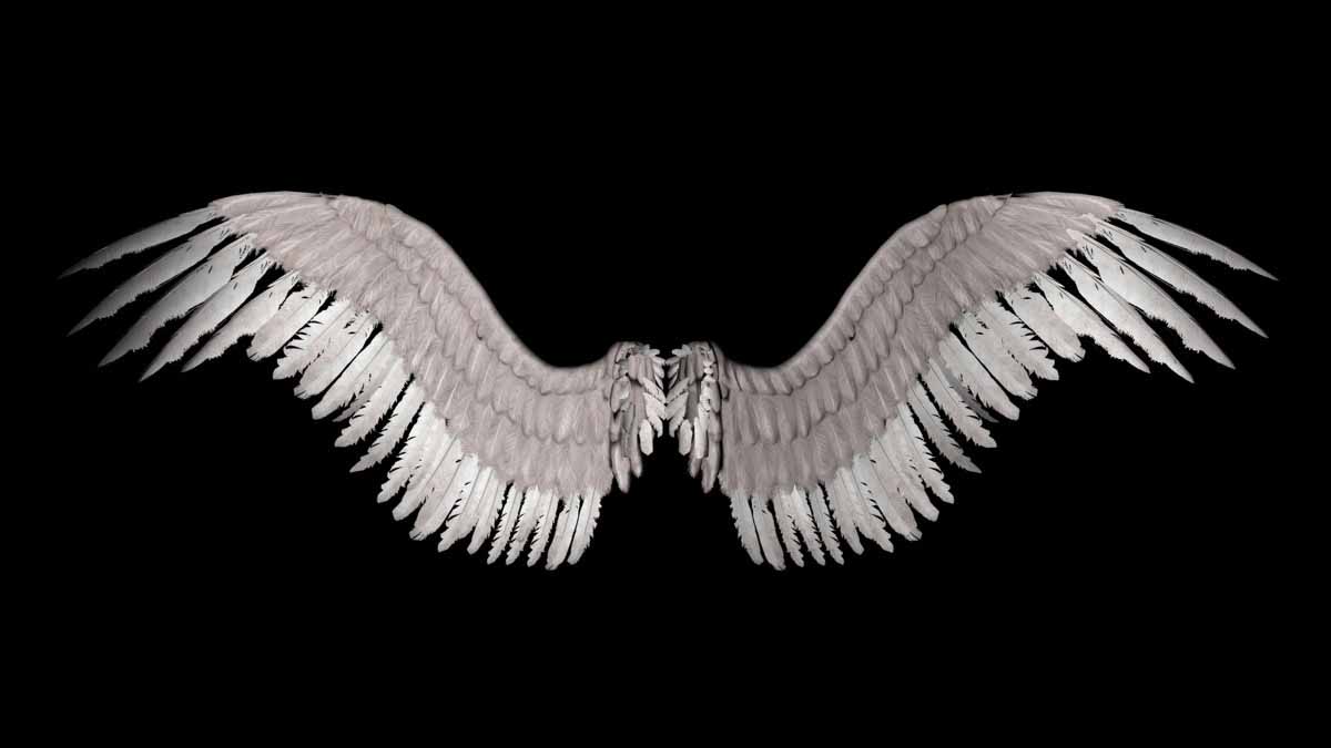 Detail Angel Wing Wallpaper Nomer 57