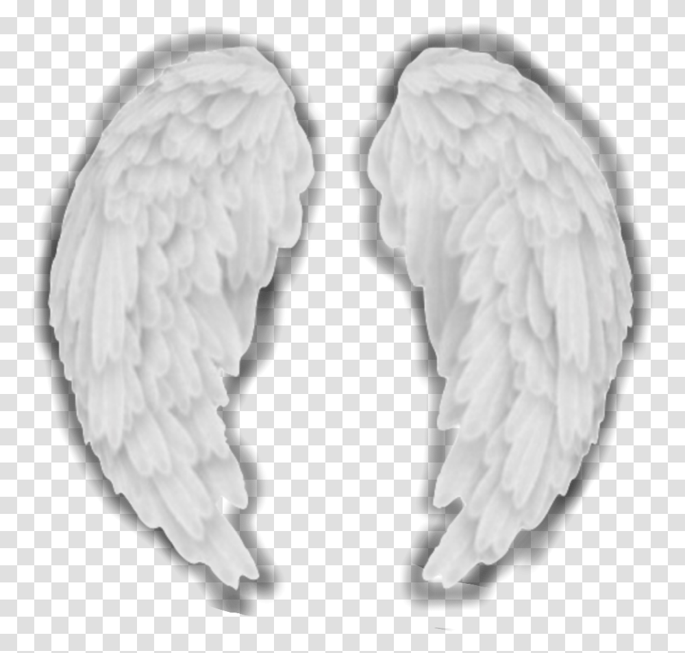 Detail Angel Wings Aesthetic Nomer 20