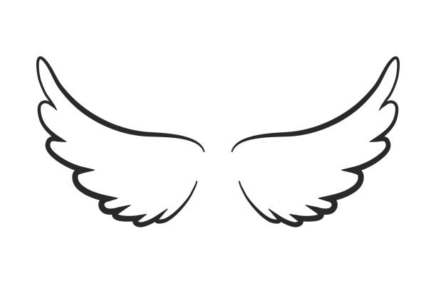 Detail Angel Wings And Halo Clip Art Nomer 43