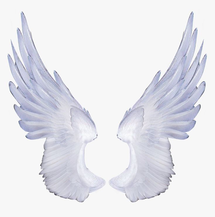 Detail Angel Wings Backgrounds Nomer 22