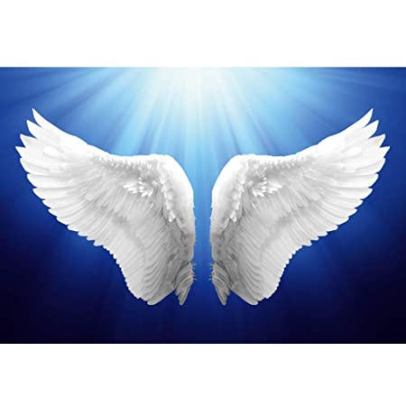 Detail Angel Wings Backgrounds Nomer 24