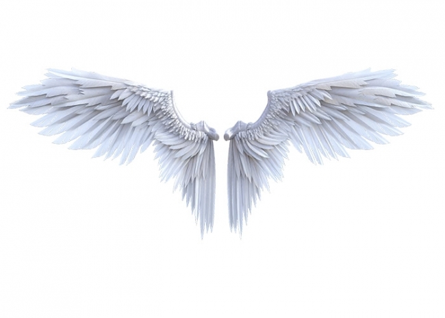 Detail Angel Wings Backgrounds Nomer 48