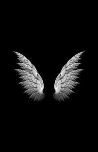 Angel Wings Black Background - KibrisPDR