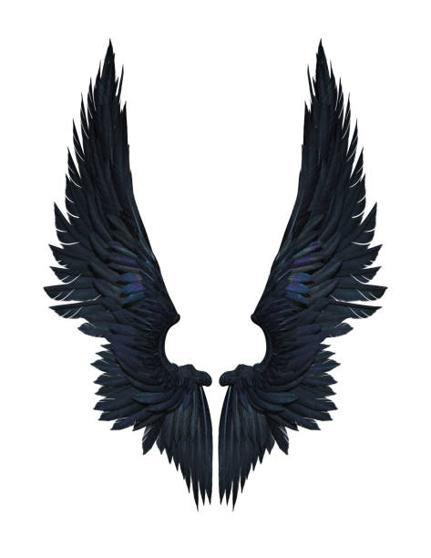 Detail Angel Wings Black Background Nomer 11