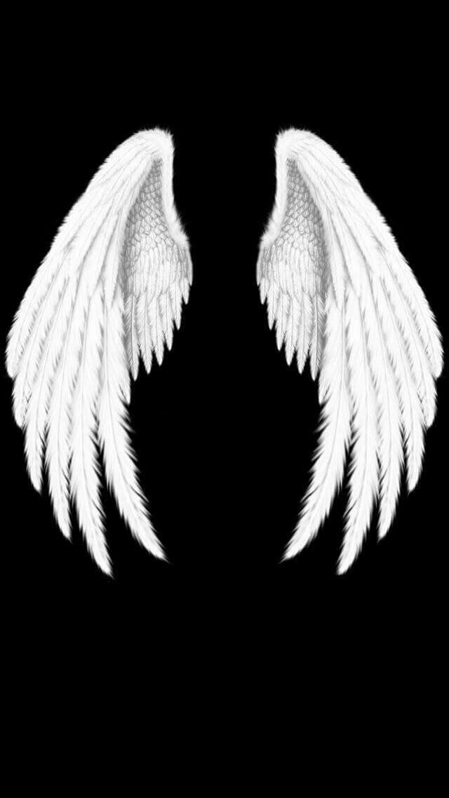Detail Angel Wings Black Background Nomer 17