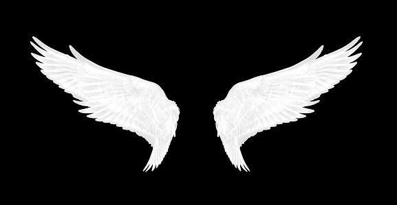 Detail Angel Wings Black Background Nomer 21