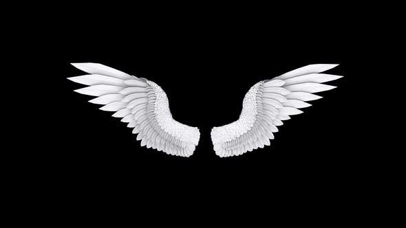 Detail Angel Wings Black Background Nomer 24