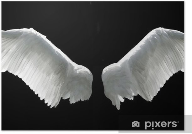 Detail Angel Wings Black Background Nomer 5