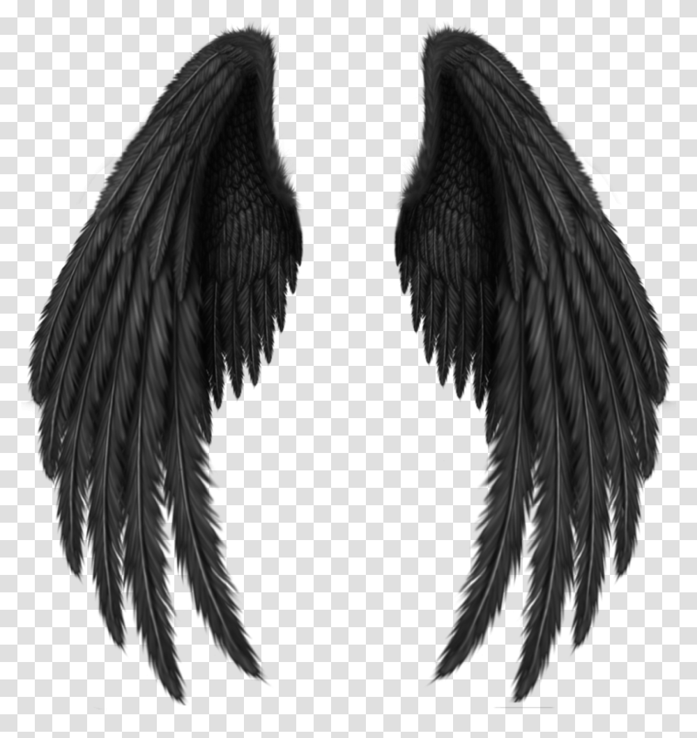 Detail Angel Wings Black Background Nomer 45