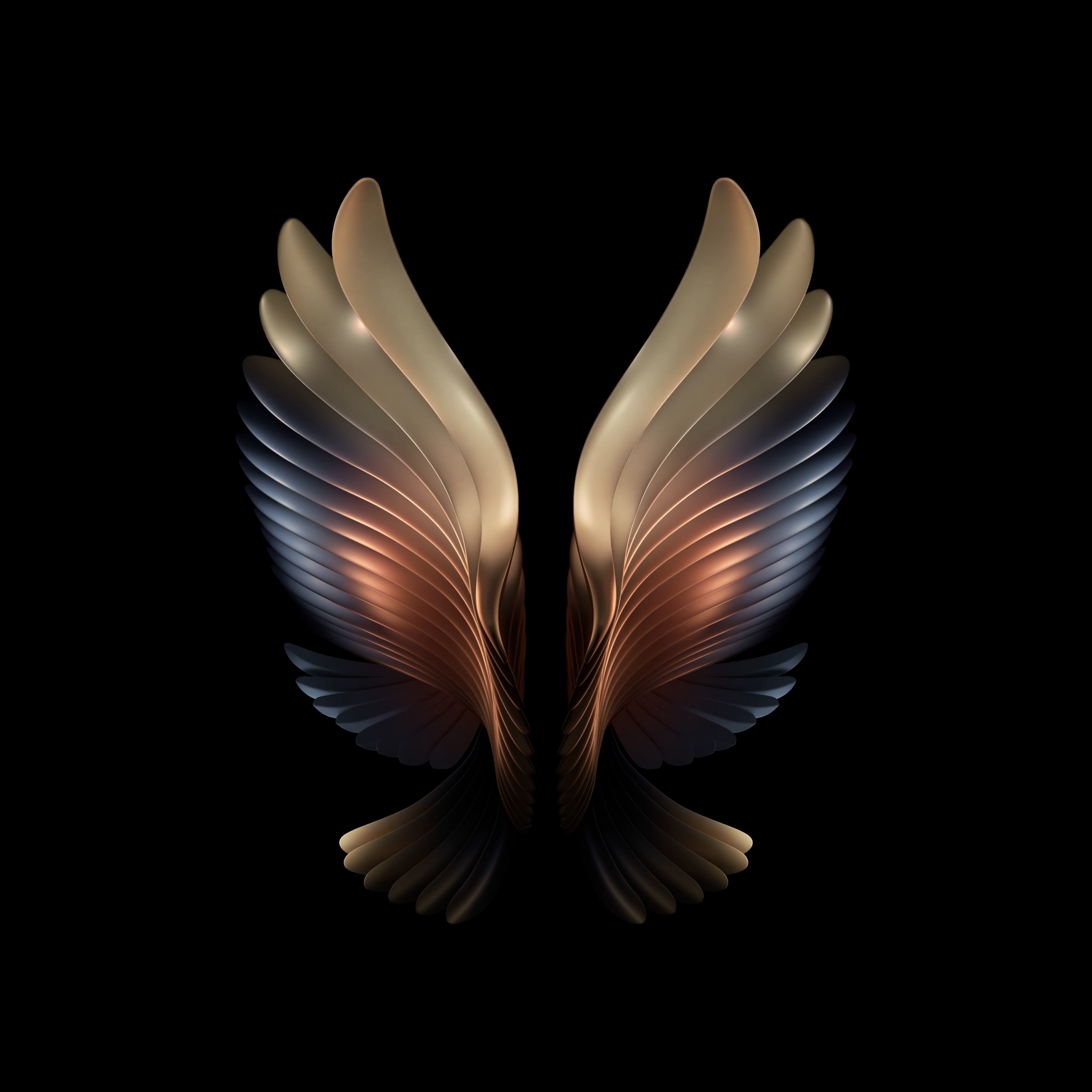 Detail Angel Wings Black Background Nomer 49