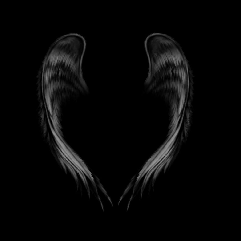 Detail Angel Wings Black Background Nomer 8