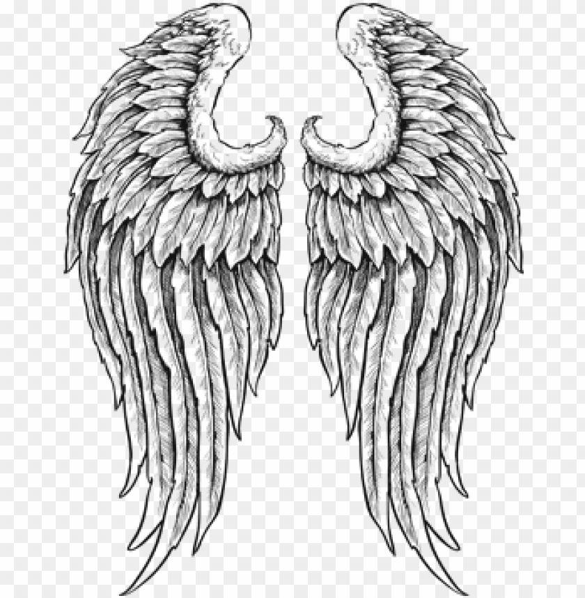 Detail Angel Wings Clipart Black And White Nomer 37