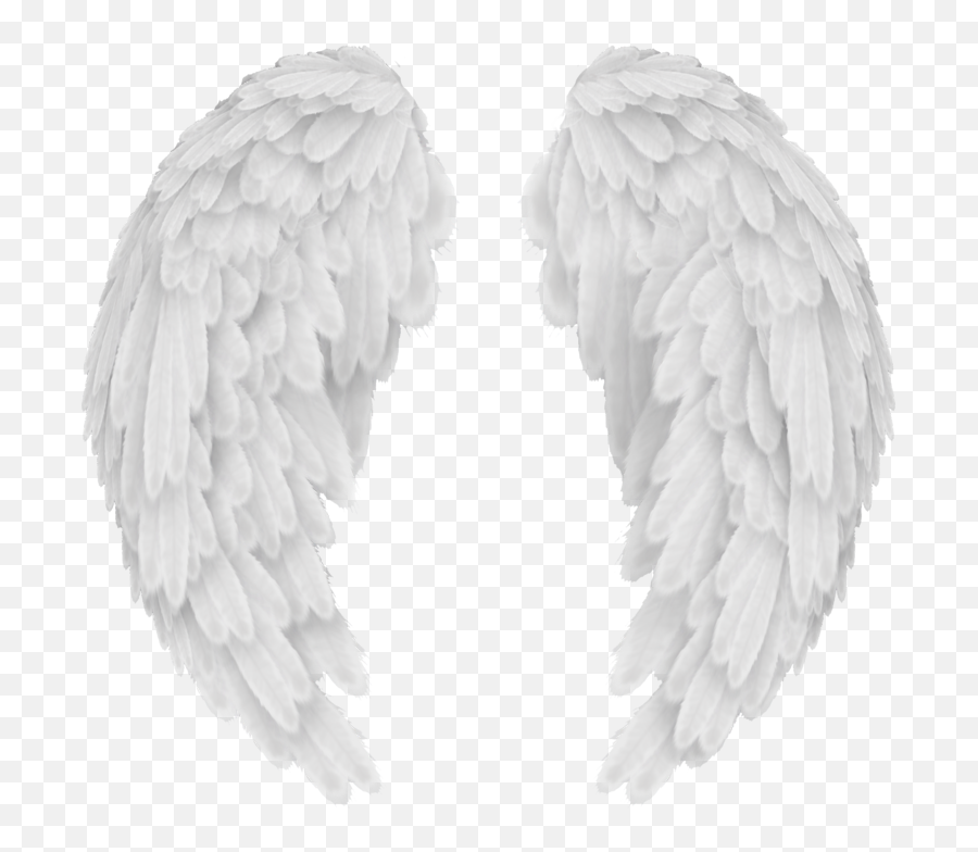 Detail Angel Wings Copy And Paste Nomer 14