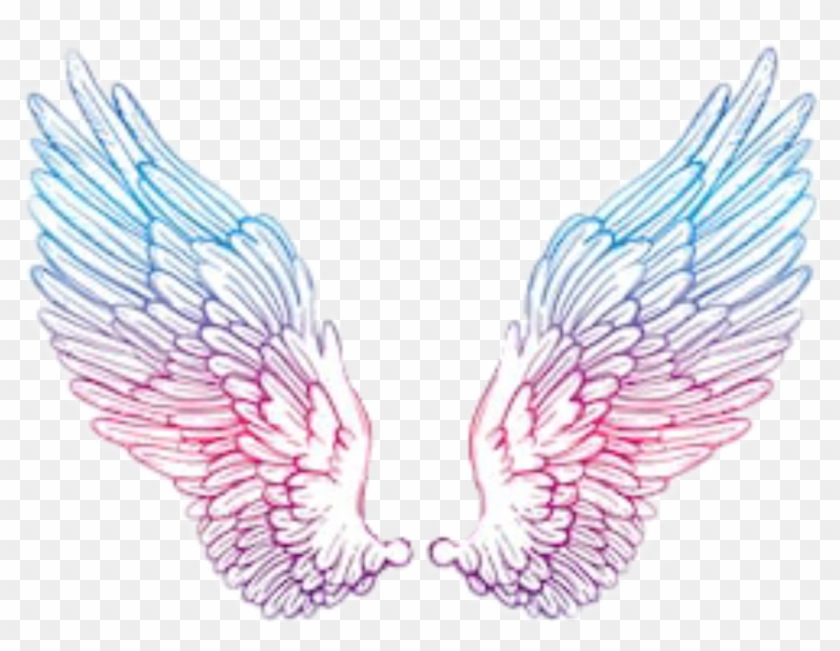 Detail Angel Wings Drawing Tumblr Nomer 6