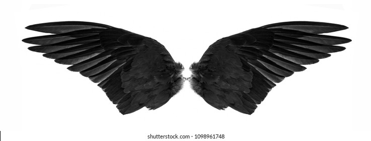 Detail Angel Wings Facebook Covers Nomer 19